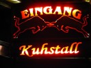 Kuhstall+Burg_002.jpg