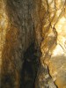 Schönsthöhl2005-06-28_044.jpg